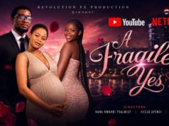 Hints Behind “A Fargile Yes”, A Movie By Revolution FX Production